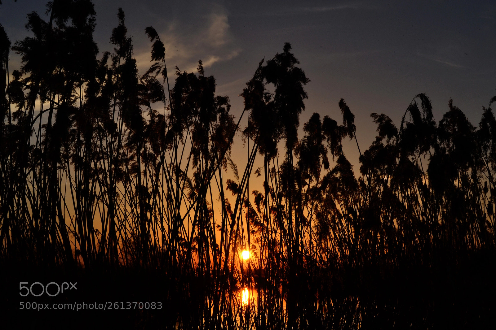 Nikon D3100 sample photo. Sunset photography