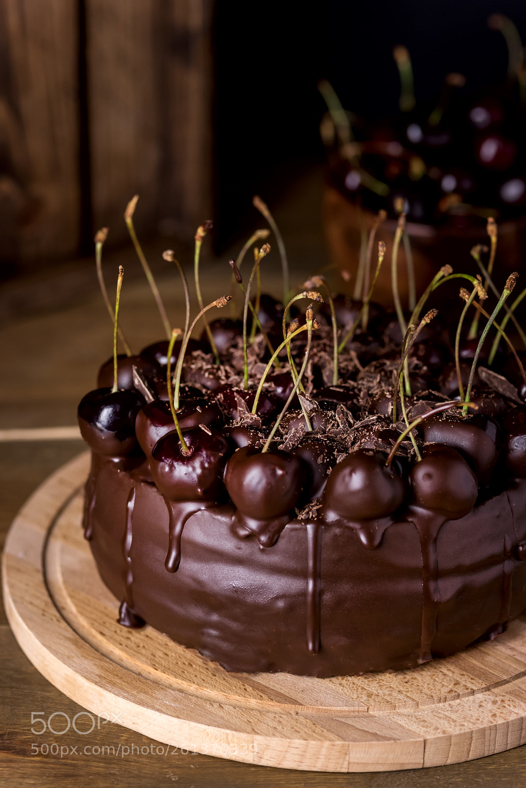 Nikon D750 sample photo. Chocolate cake decorated with photography