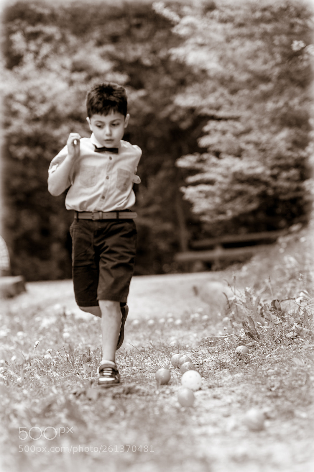 Nikon D700 sample photo. Pétanque photography