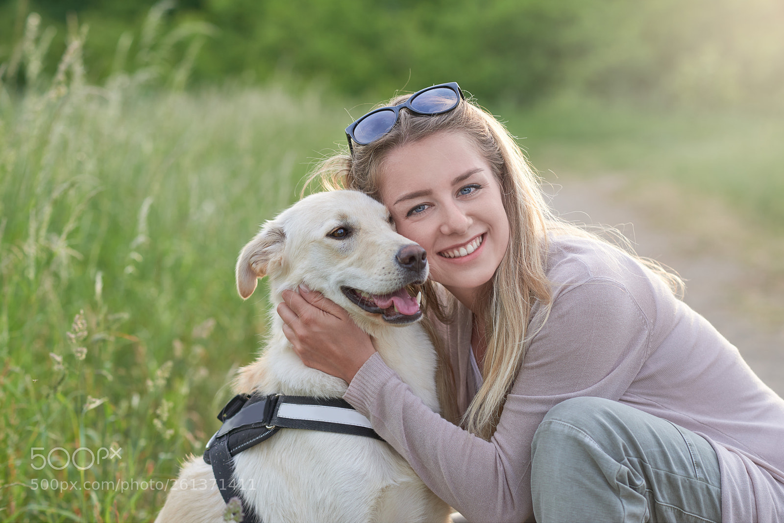 Nikon D800 sample photo. Happy smiling dog with photography