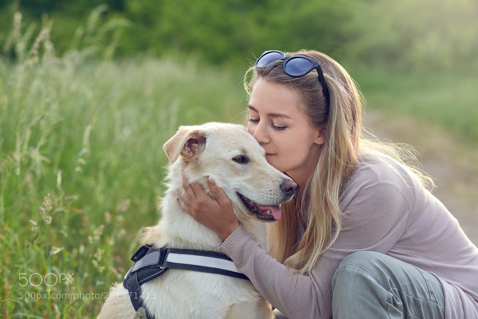 Nikon D800 sample photo. Happy smiling dog with photography