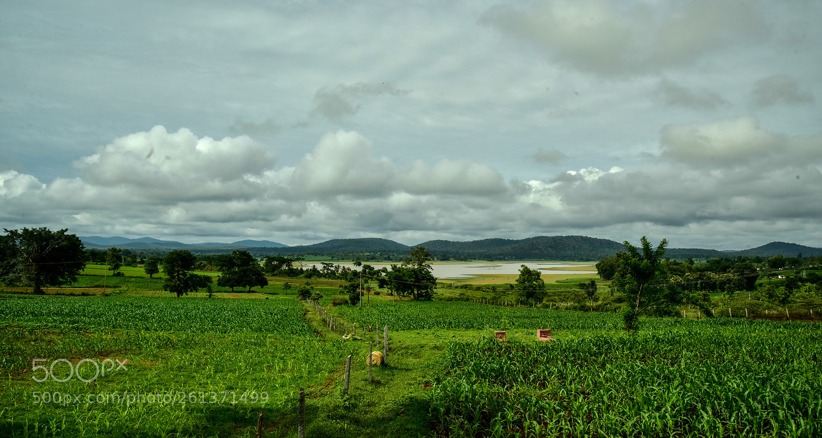 Nikon D810 sample photo. Kabini photography