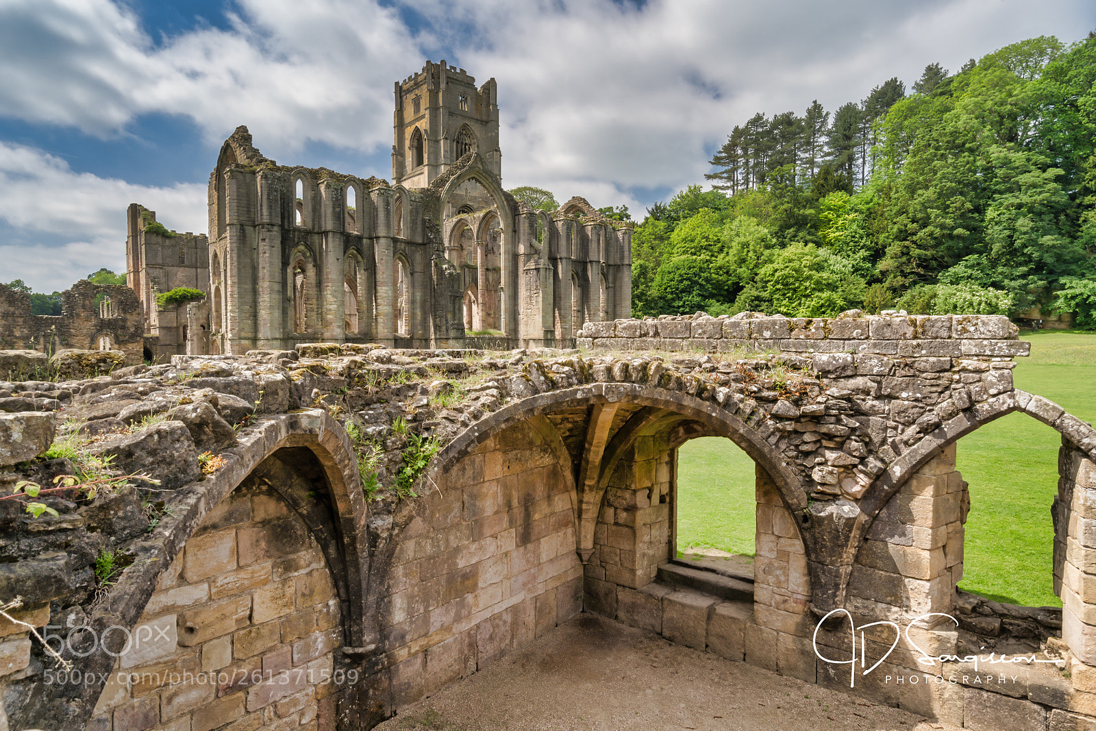 Sony a7 III sample photo. Fountains abbey photography