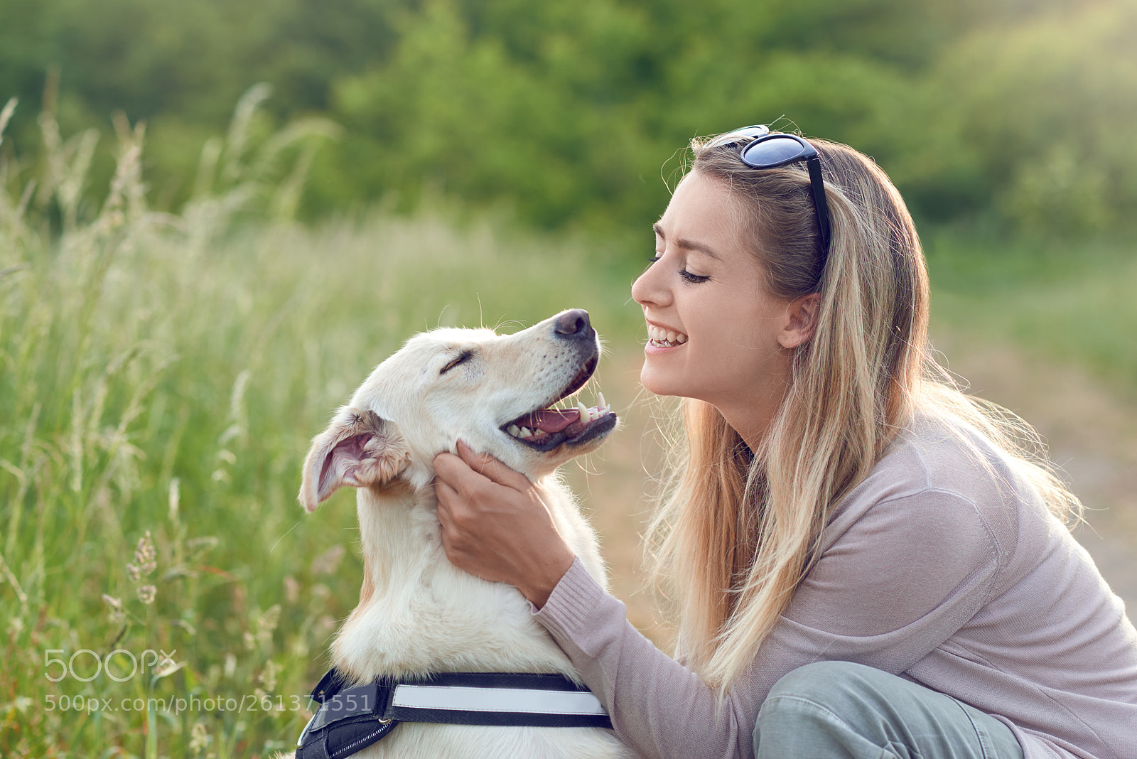 Nikon D800 sample photo. Happy smiling dog with photography