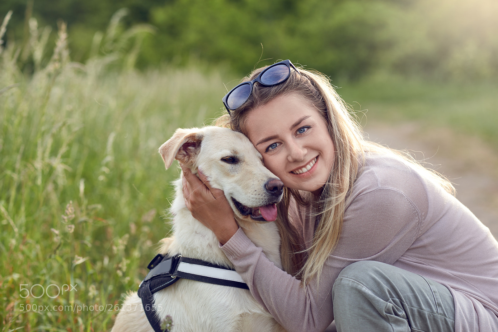 Nikon D800 sample photo. Happy smiling dog with photography