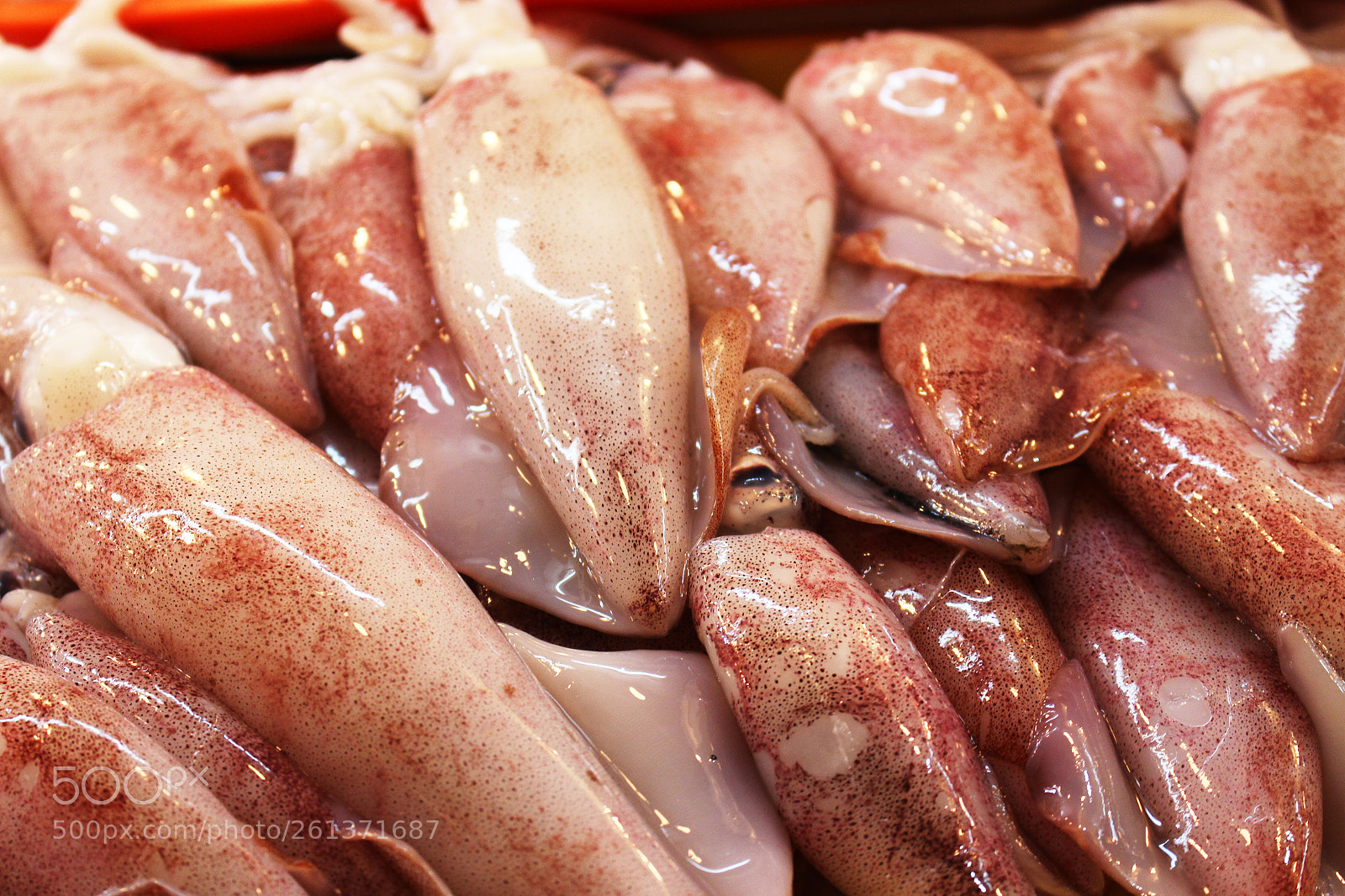 Canon EOS 700D (EOS Rebel T5i / EOS Kiss X7i) sample photo. Bacolod wet market photography
