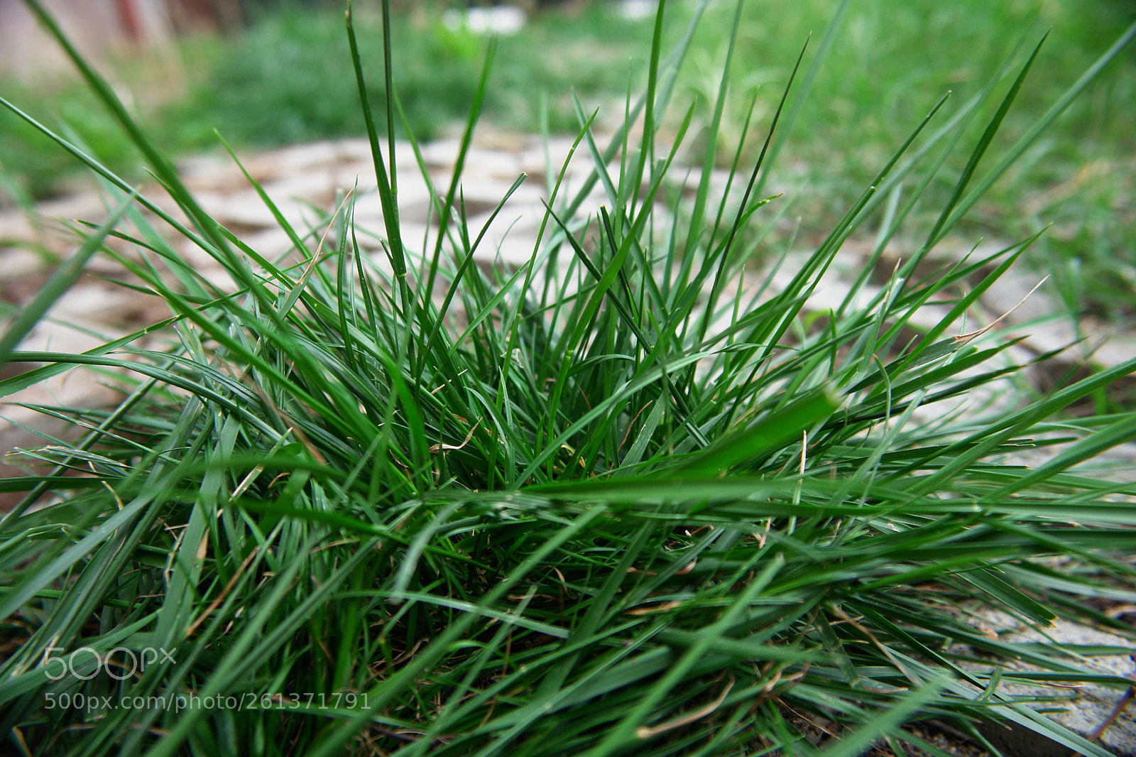 Sony DSC-R1 sample photo. Untitled photography