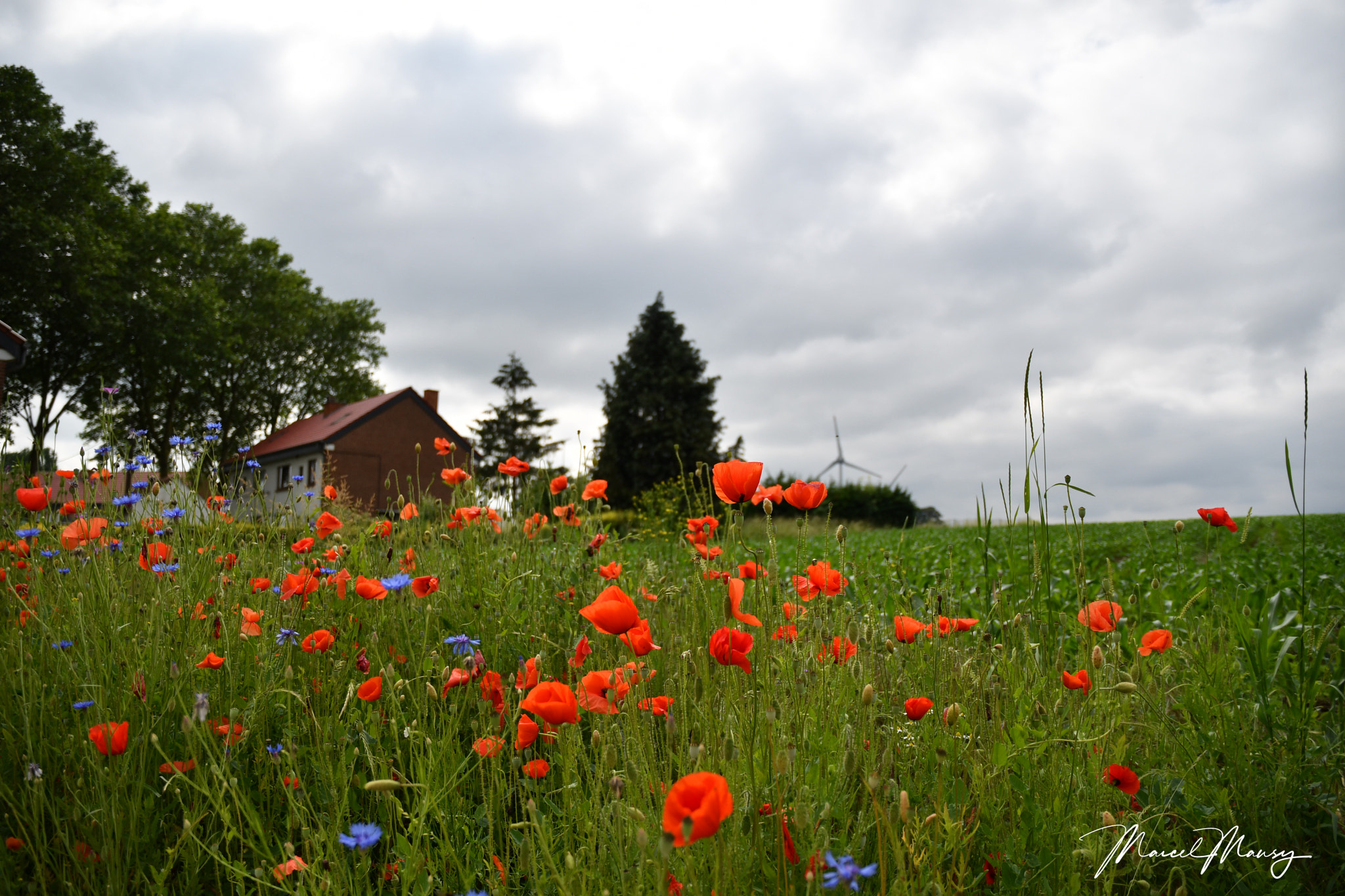 Nikon D500 sample photo. Paysage estinnois photography