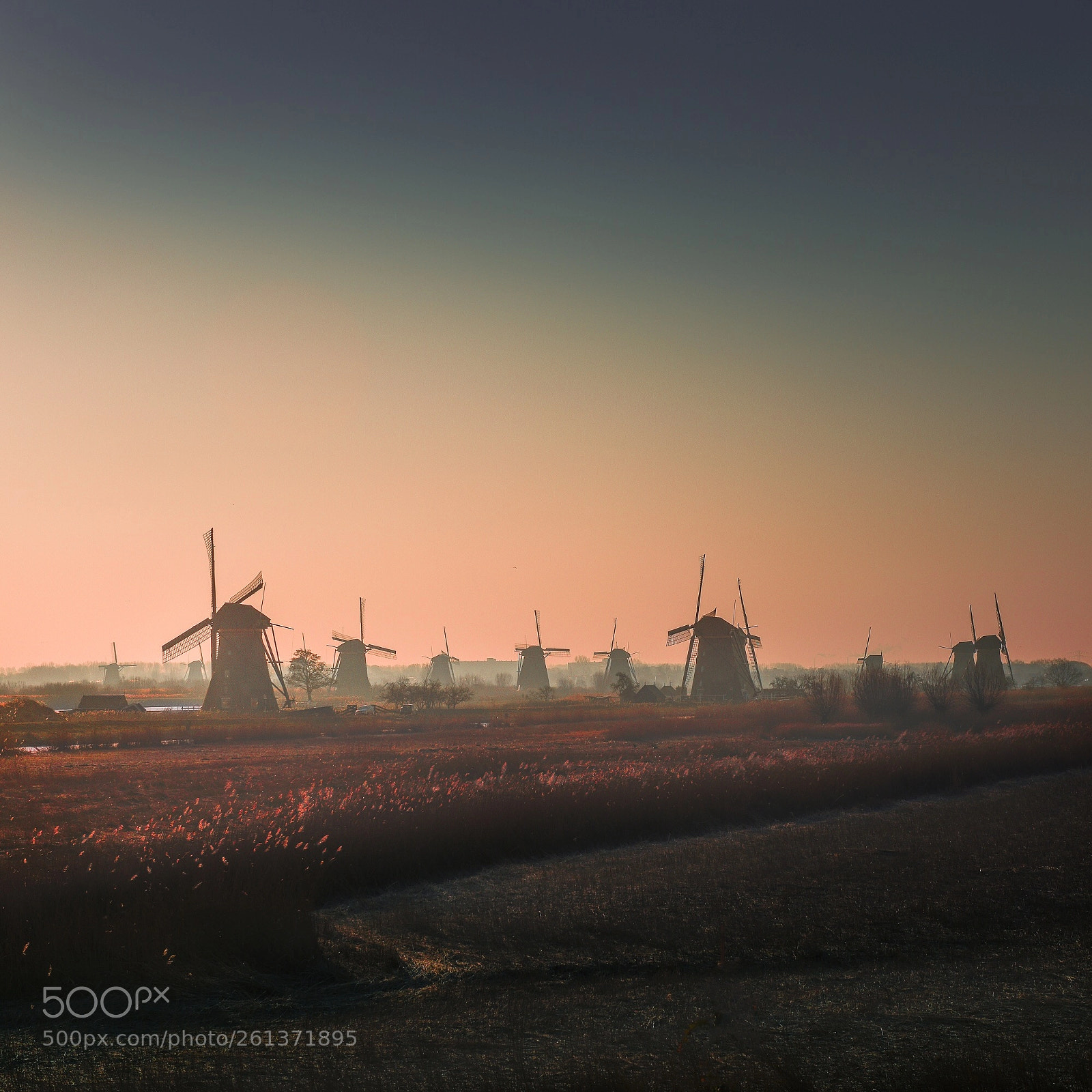 Nikon D810 sample photo. Morning mist photography