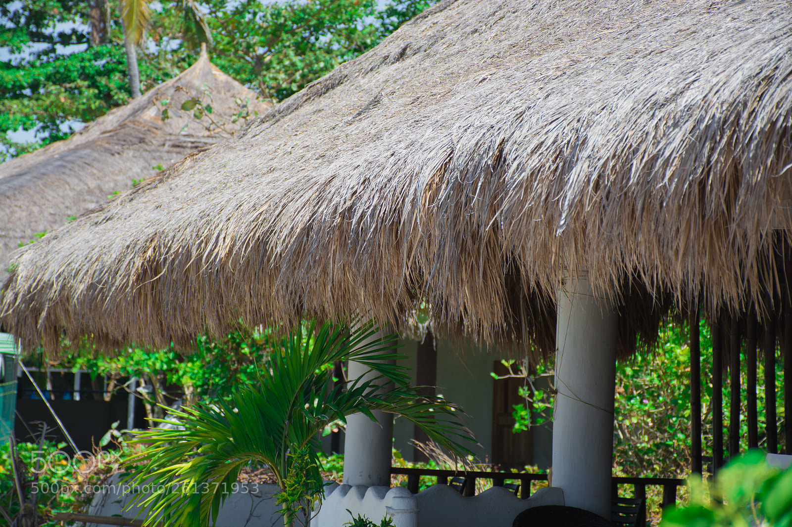 Nikon D5200 sample photo. Background - asian thatch photography