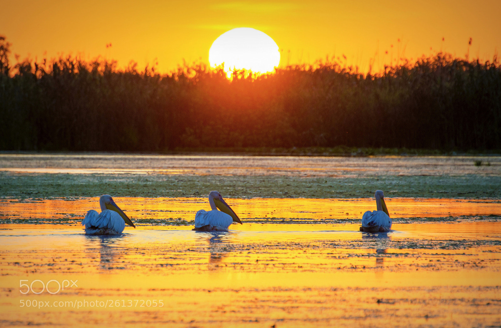 Nikon D7100 sample photo. An east of danube photography