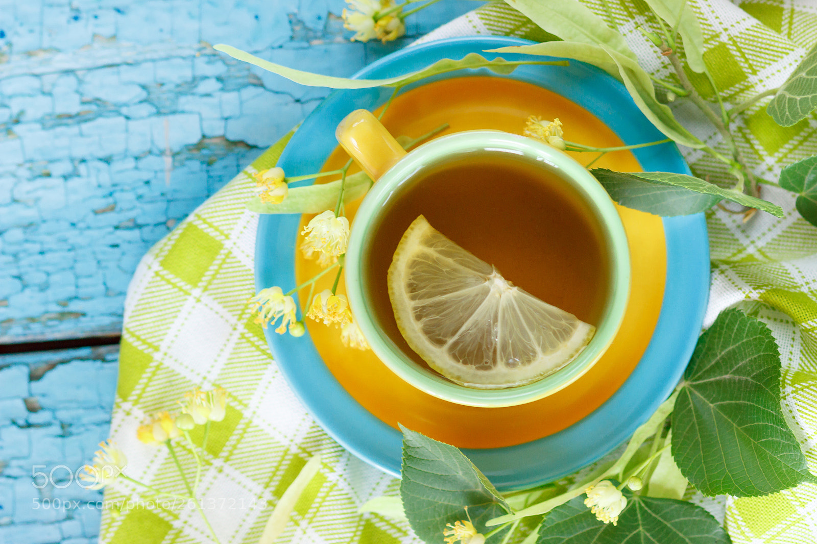 Canon EOS 600D (Rebel EOS T3i / EOS Kiss X5) sample photo. Cup of herbal tea photography