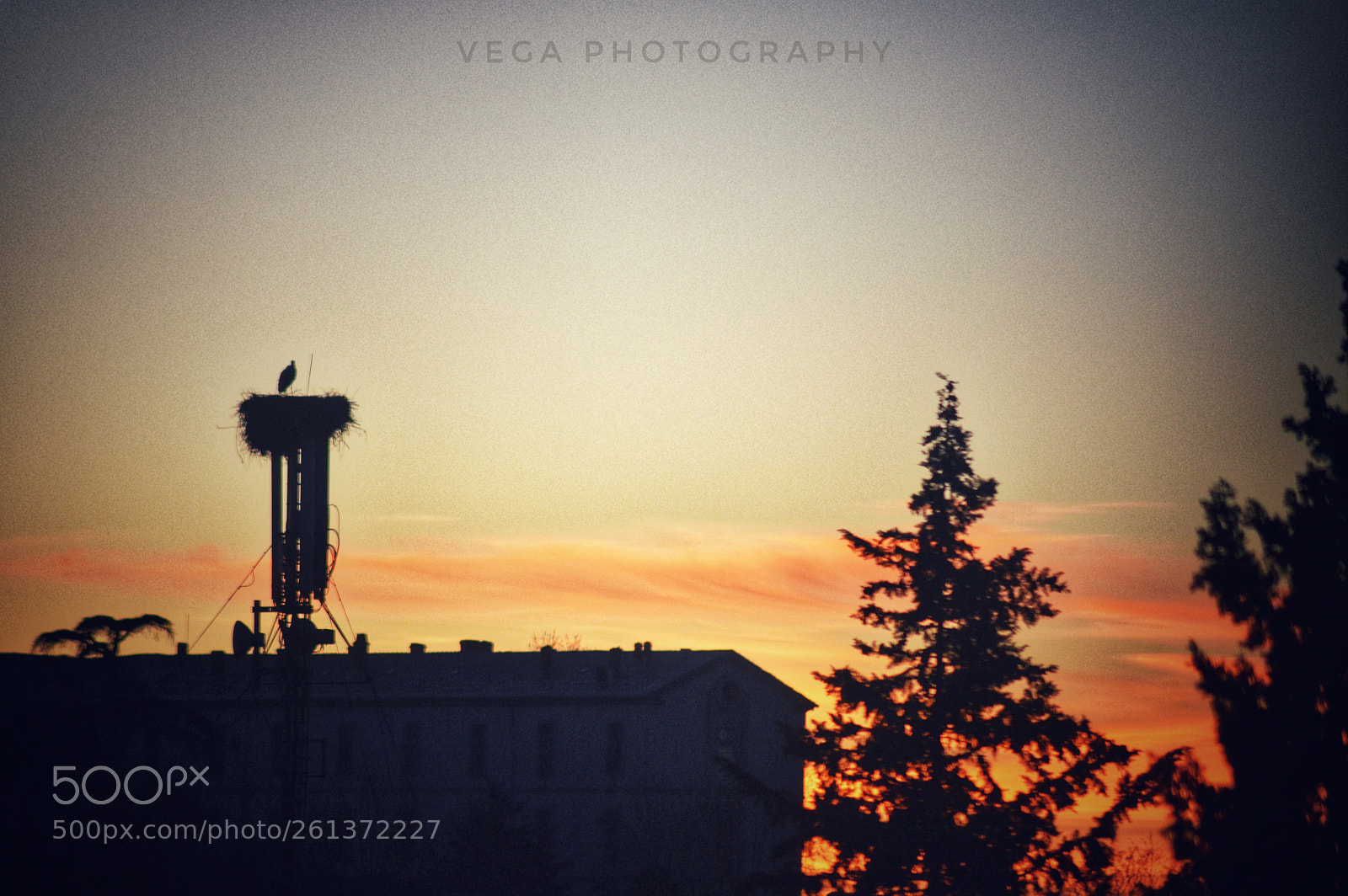 Nikon D3200 sample photo. Silhouettes photography