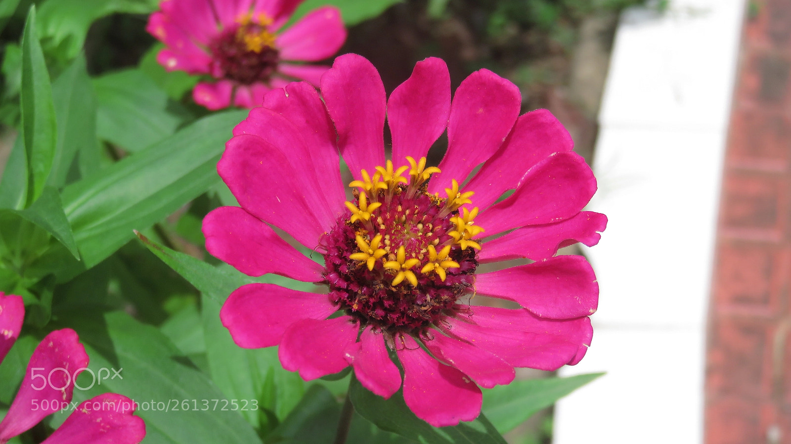 Canon PowerShot SX710 HS sample photo. Untitled photography