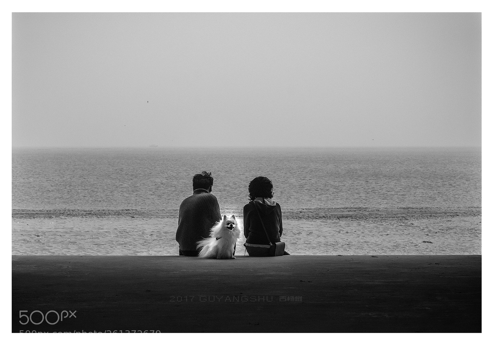 Nikon D300S sample photo. Untitled photography