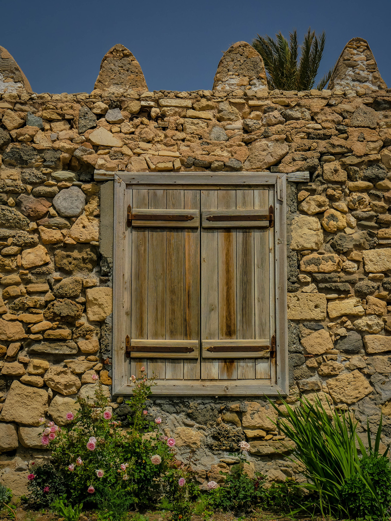 Panasonic DMC-G81 sample photo. Window photography
