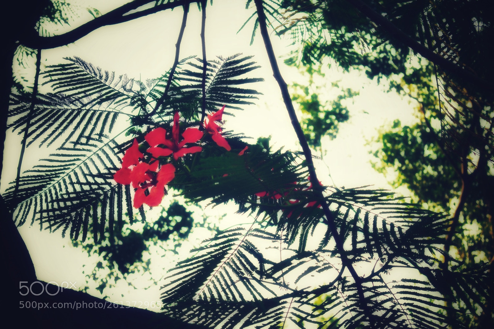 Nikon D3400 sample photo. Untitled photography
