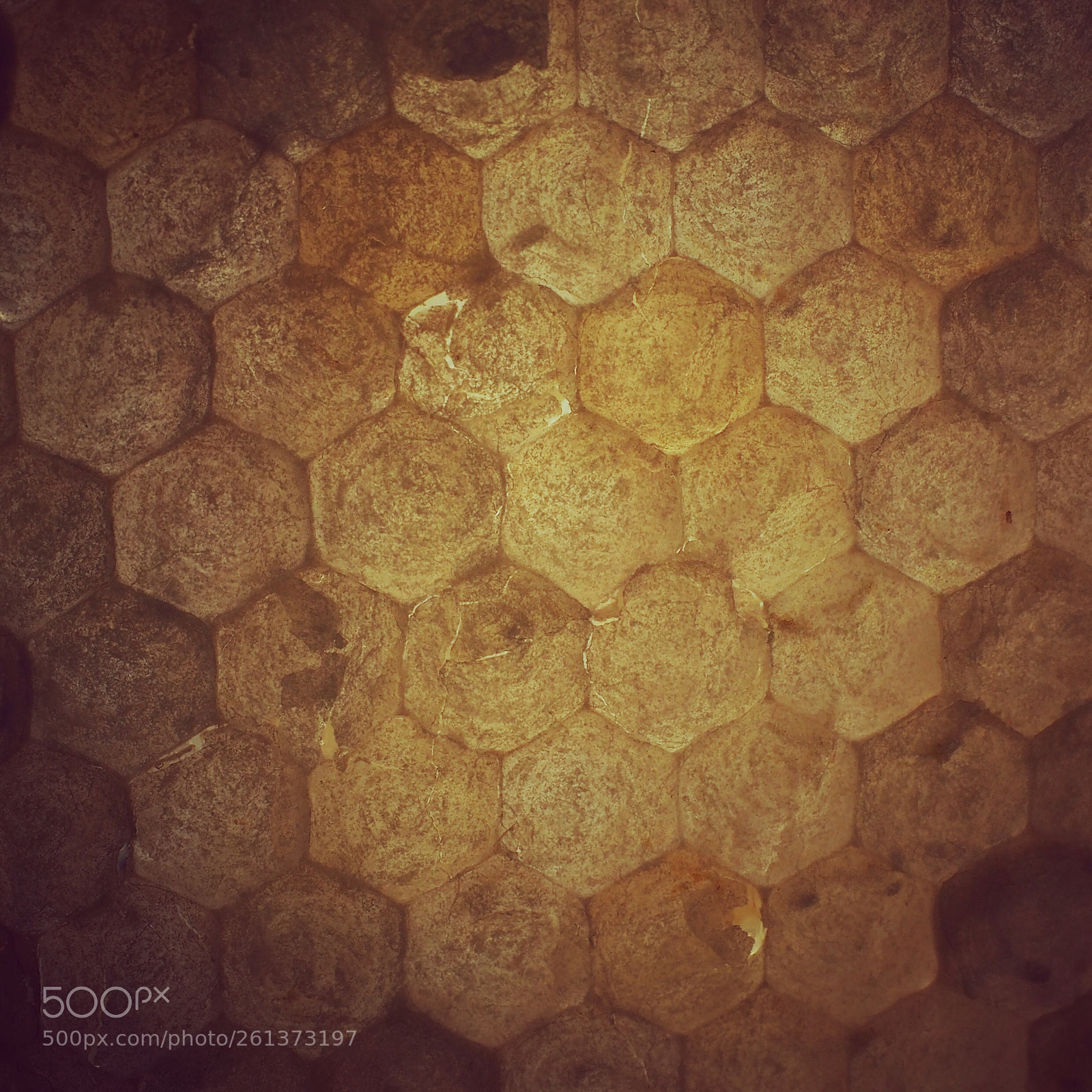 Olympus OM-D E-M5 II sample photo. Honeycomb  photography