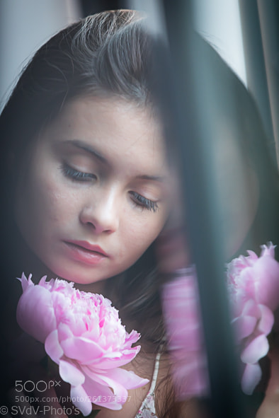 Canon EOS 5D Mark IV sample photo. Pure pink power photography