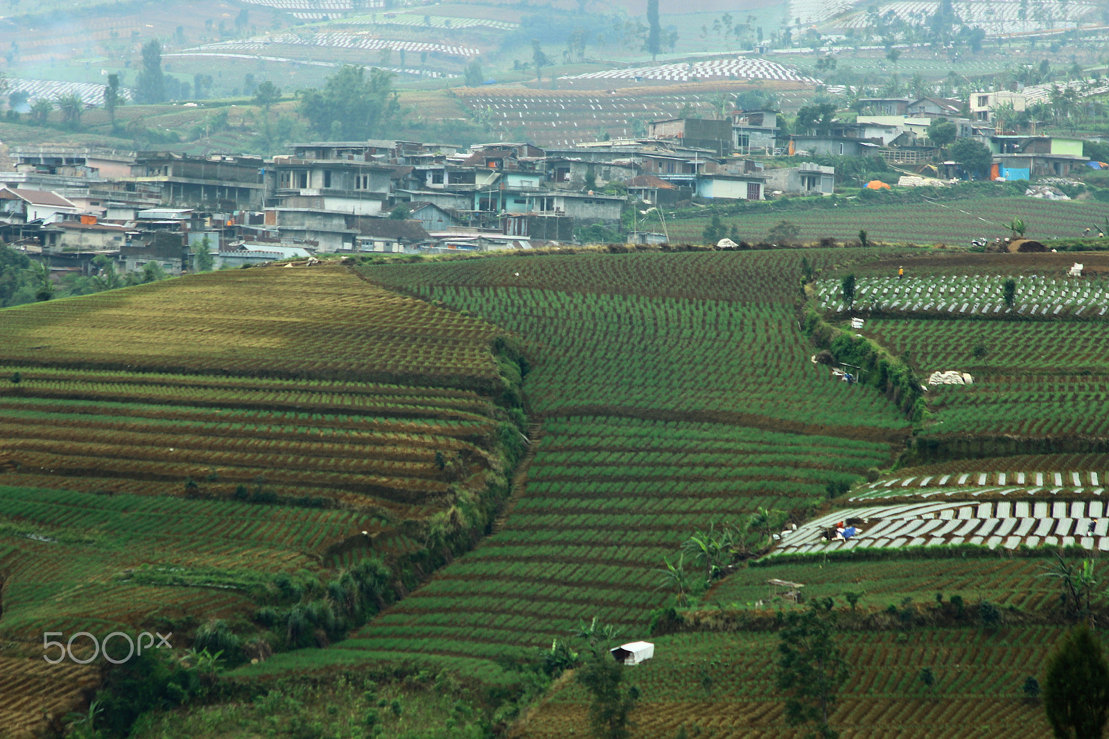 Canon EOS 600D (Rebel EOS T3i / EOS Kiss X5) sample photo. Ruralscape photography