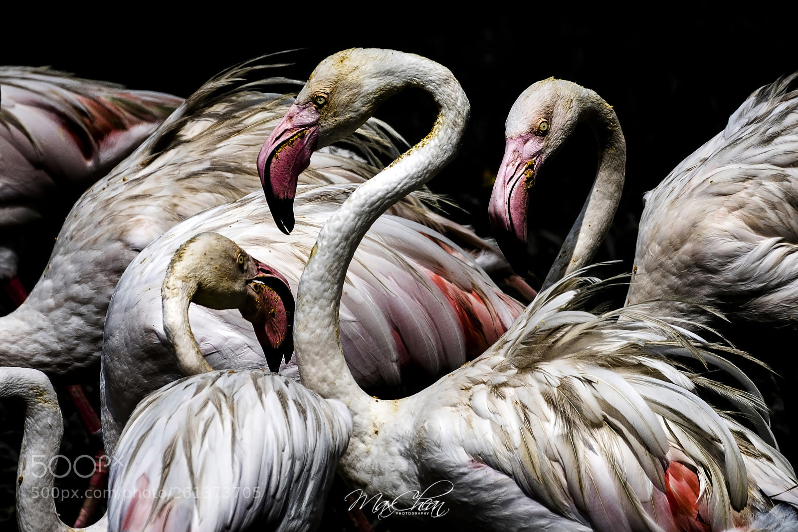 Nikon D750 sample photo. Max20180609 photography