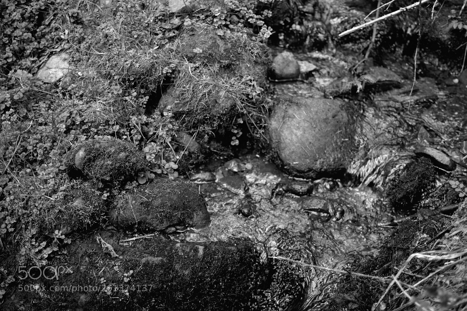Nikon D3400 sample photo. Water over rocks photography