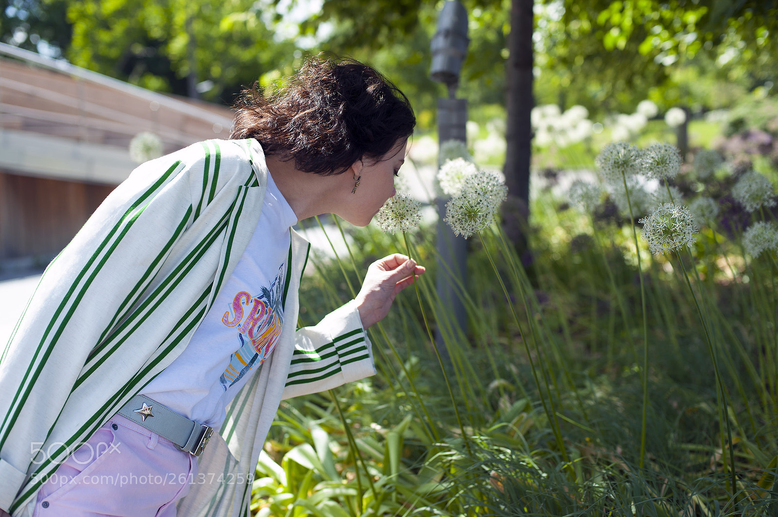 Nikon D3 sample photo. _16.jpg photography