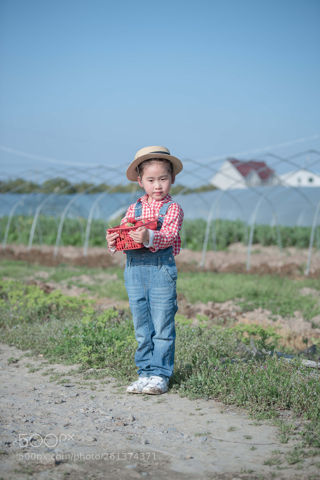 Nikon D750 sample photo. Untitled photography