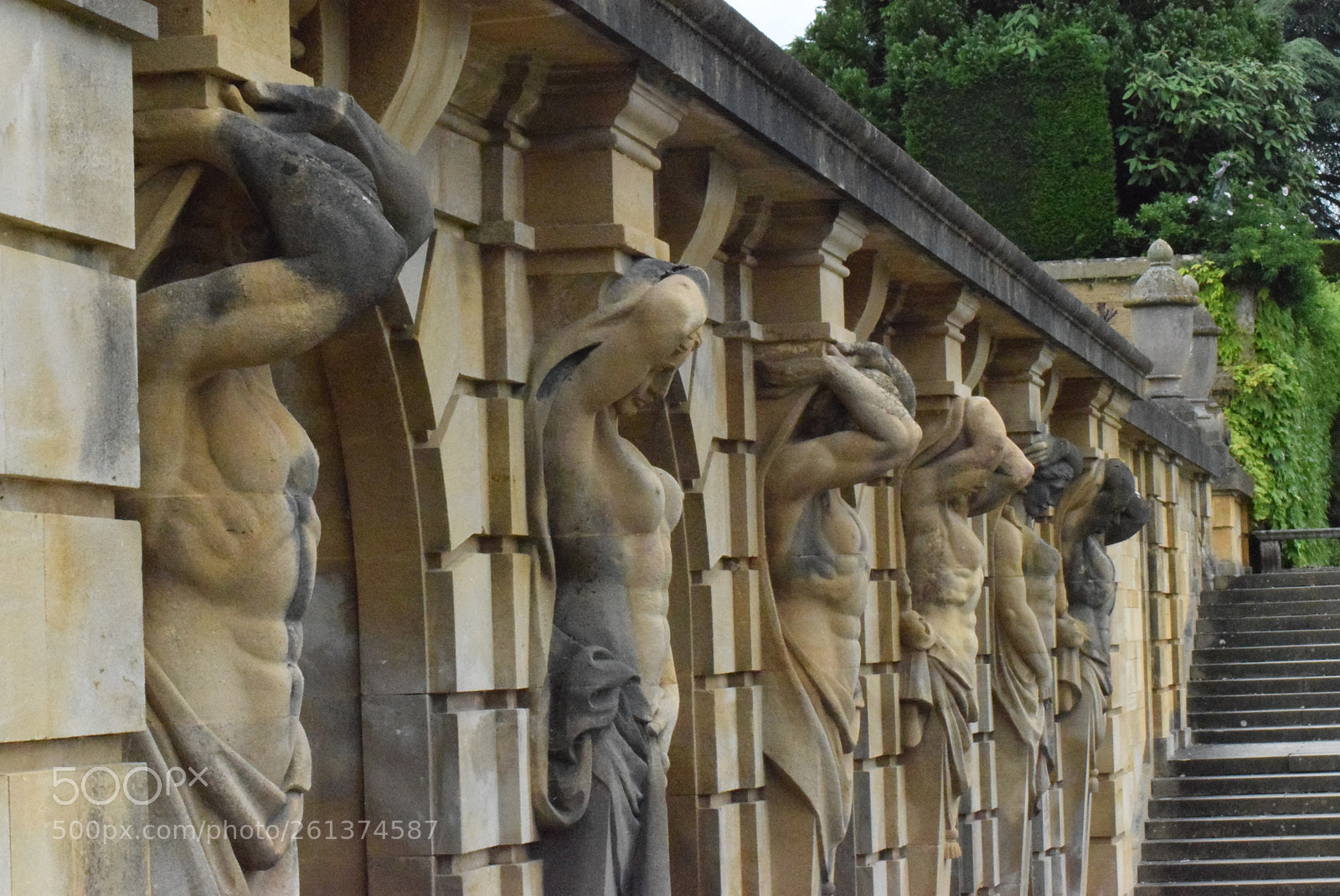 Nikon D3300 sample photo. All in a row photography