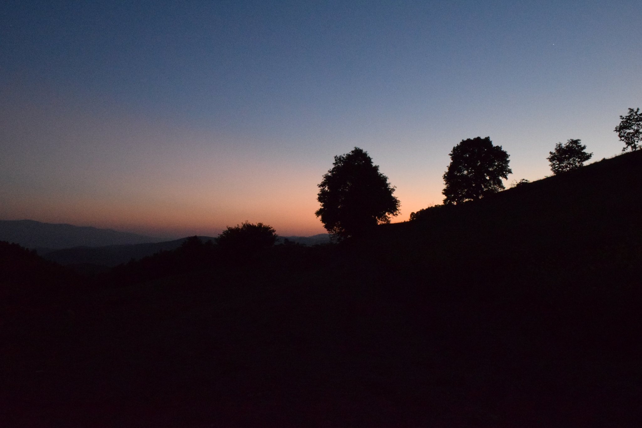 Nikon D5300 sample photo. .. photography