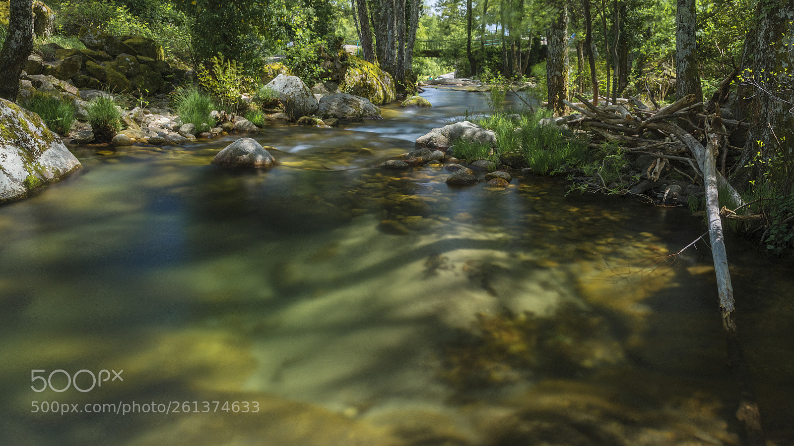 Nikon D7200 sample photo. Down by the river. photography