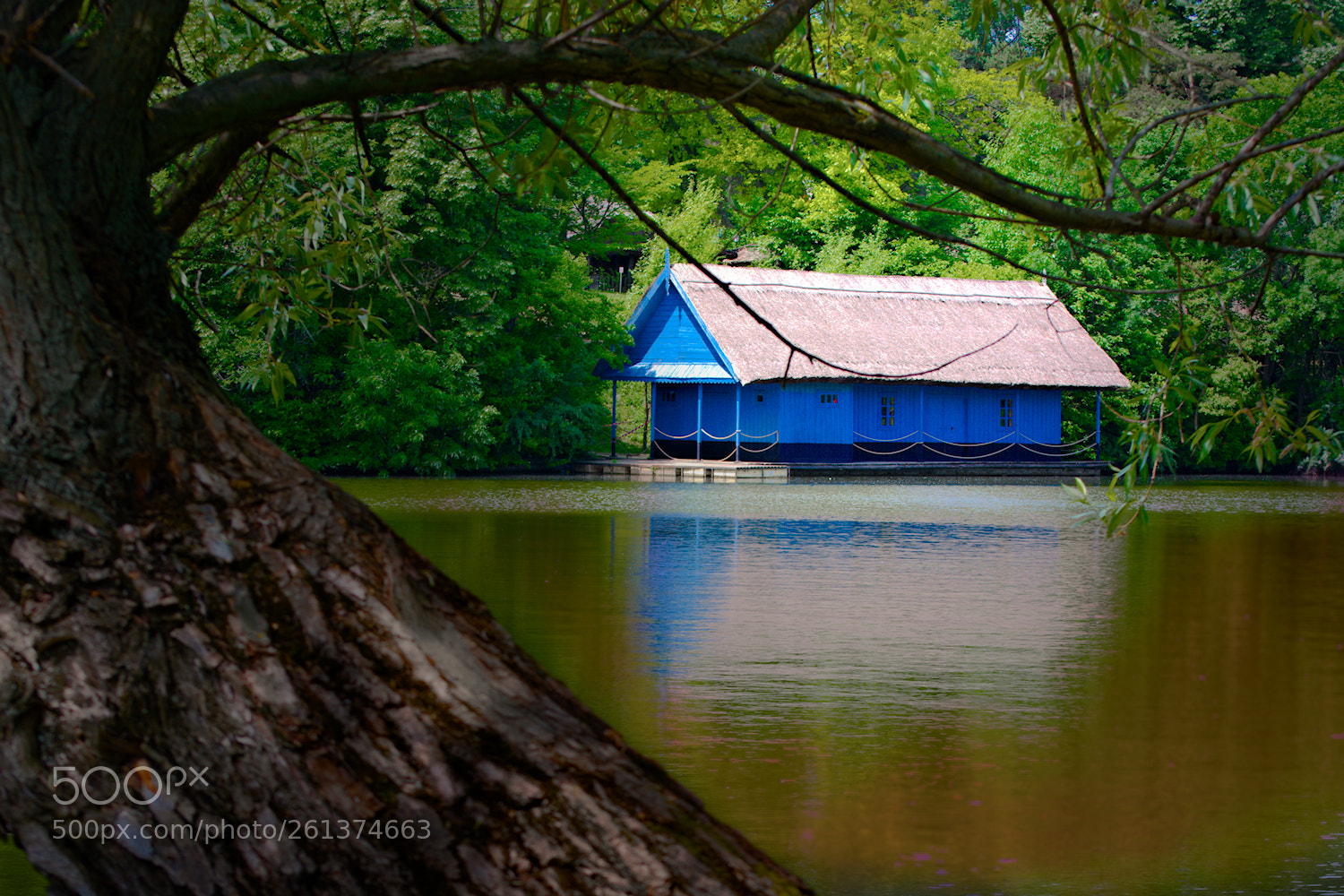 Nikon D5200 sample photo. Blue house photography