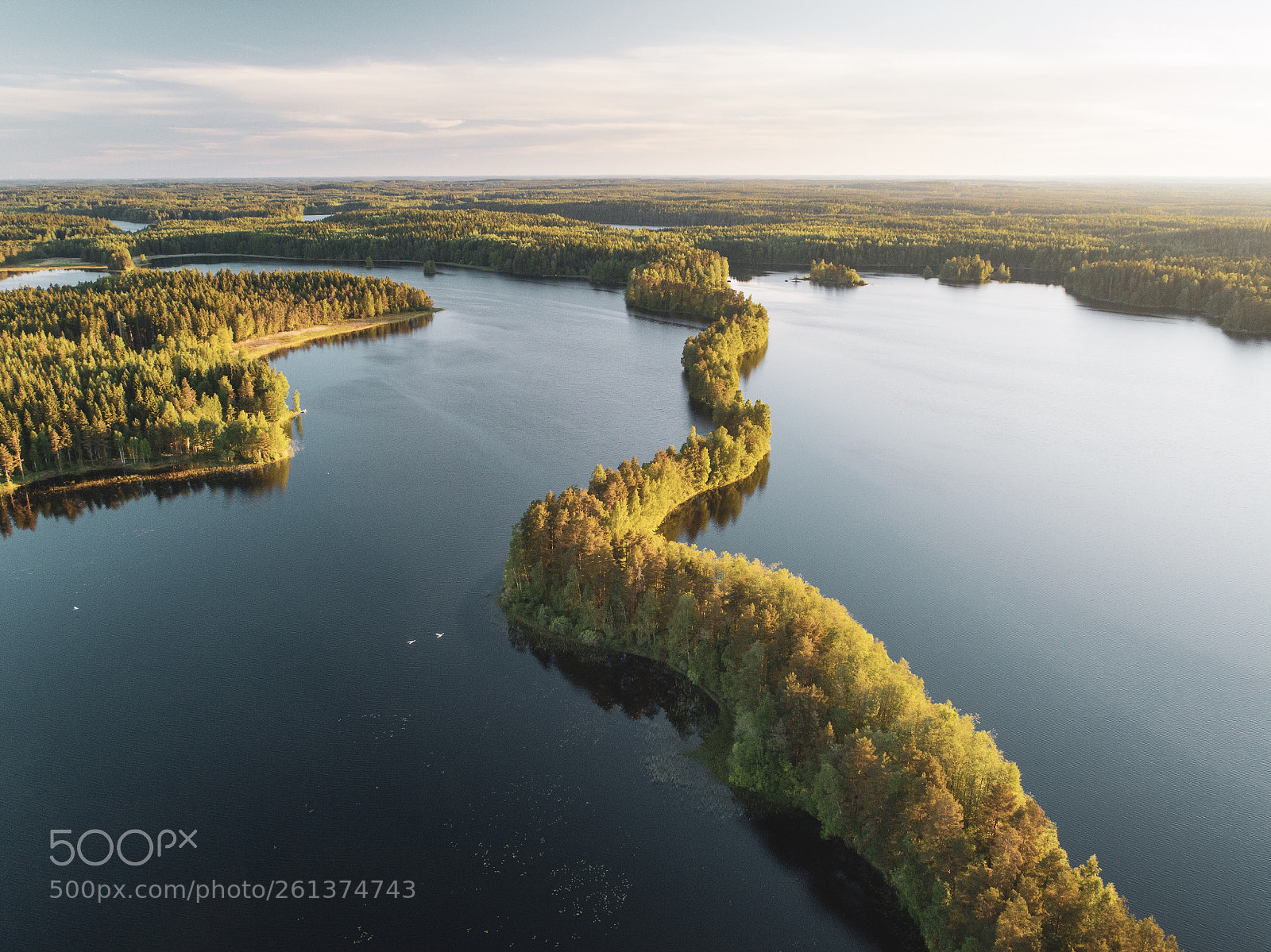 DJI FC6310 sample photo. A walk between the photography