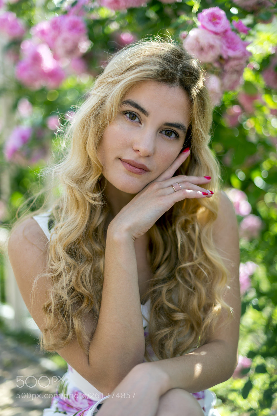 Nikon D600 sample photo. Rose garden photography