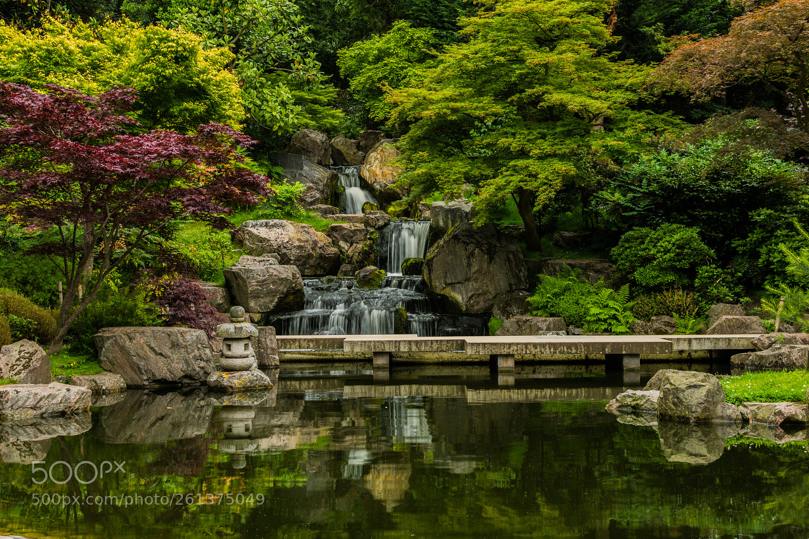Nikon D7200 sample photo. Kyoto garden in holland photography