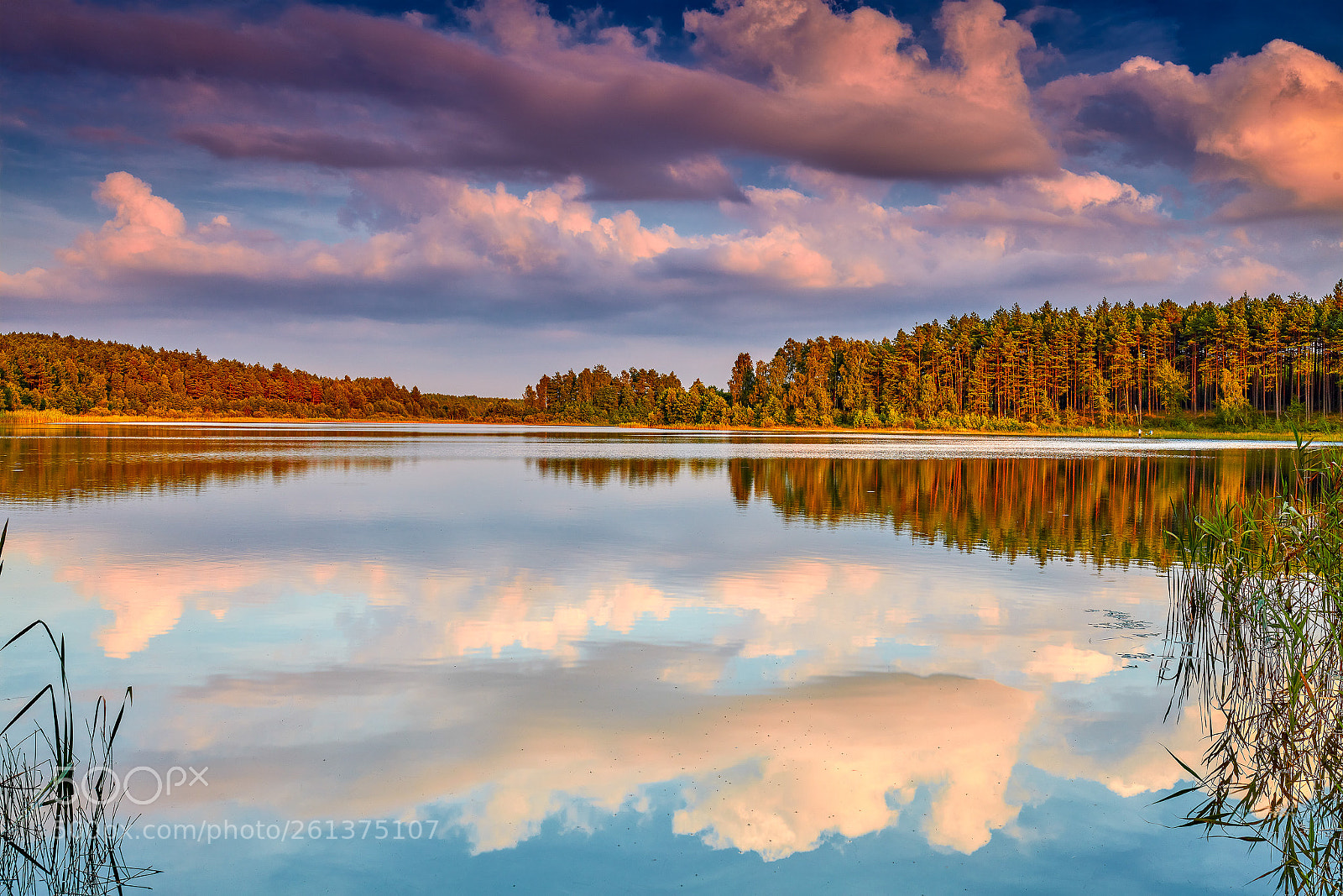 Canon EOS 5DS R sample photo. Strupino lake in kashubia. photography