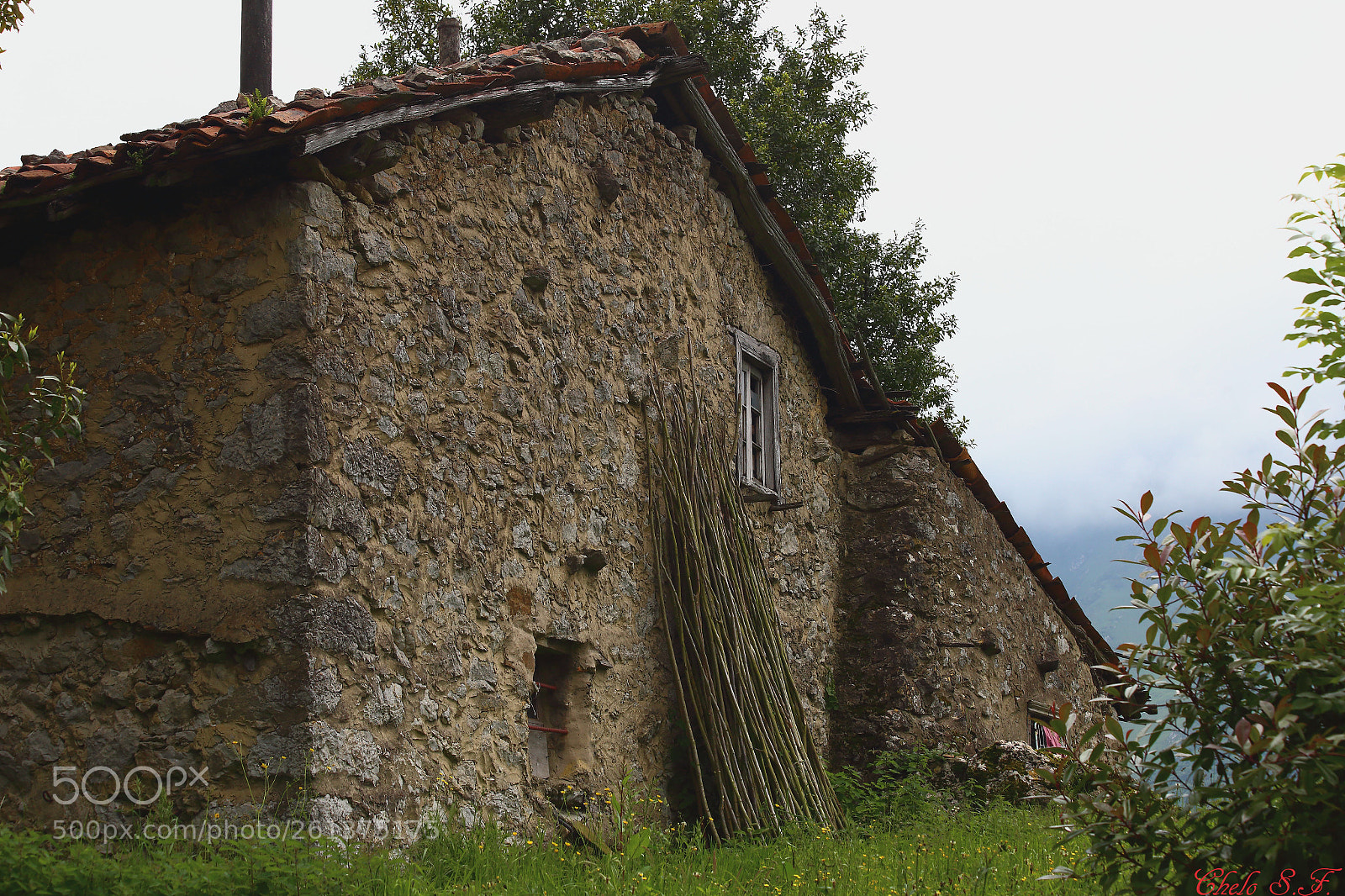 Canon EOS 6D sample photo. Untitled photography