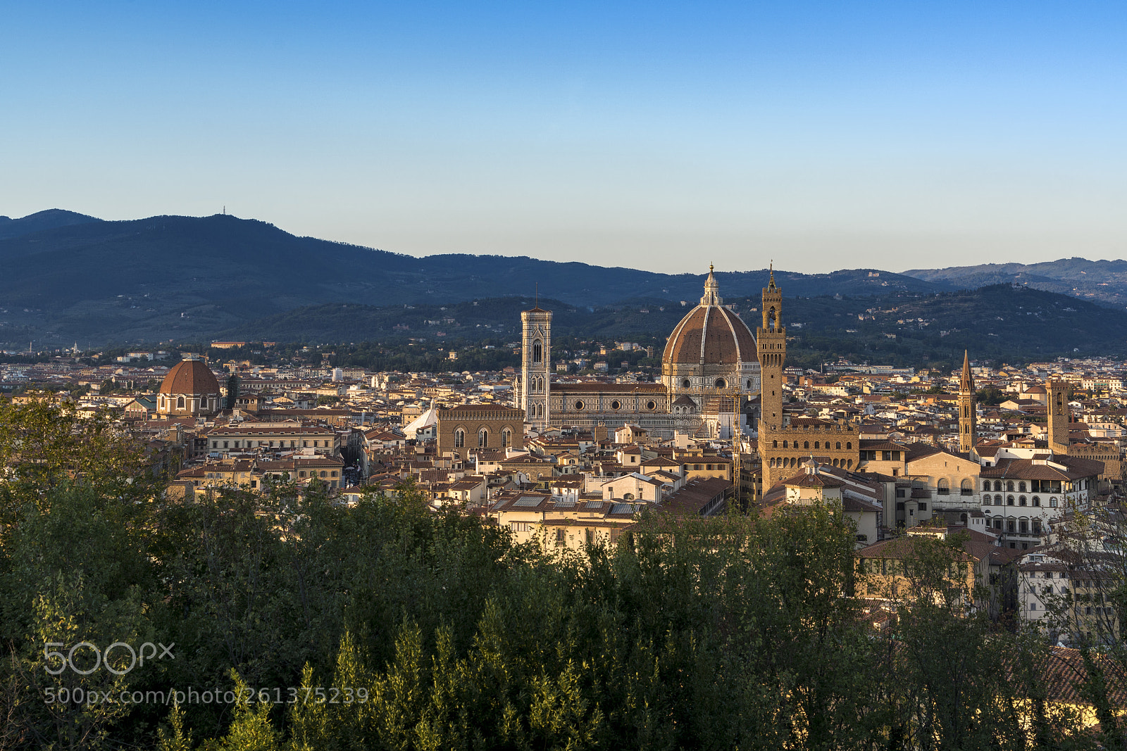 Sony a7R II sample photo. In florence photography