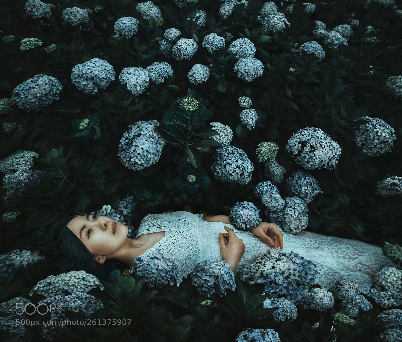 Canon EOS 5D Mark II sample photo. Sleeping beauty photography