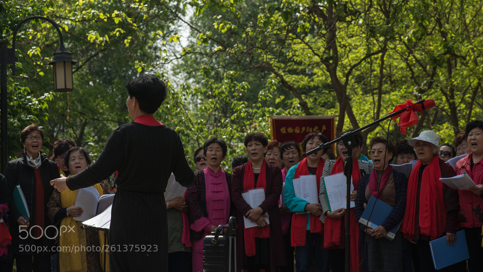 Nikon D800E sample photo. Geriatric choir photography