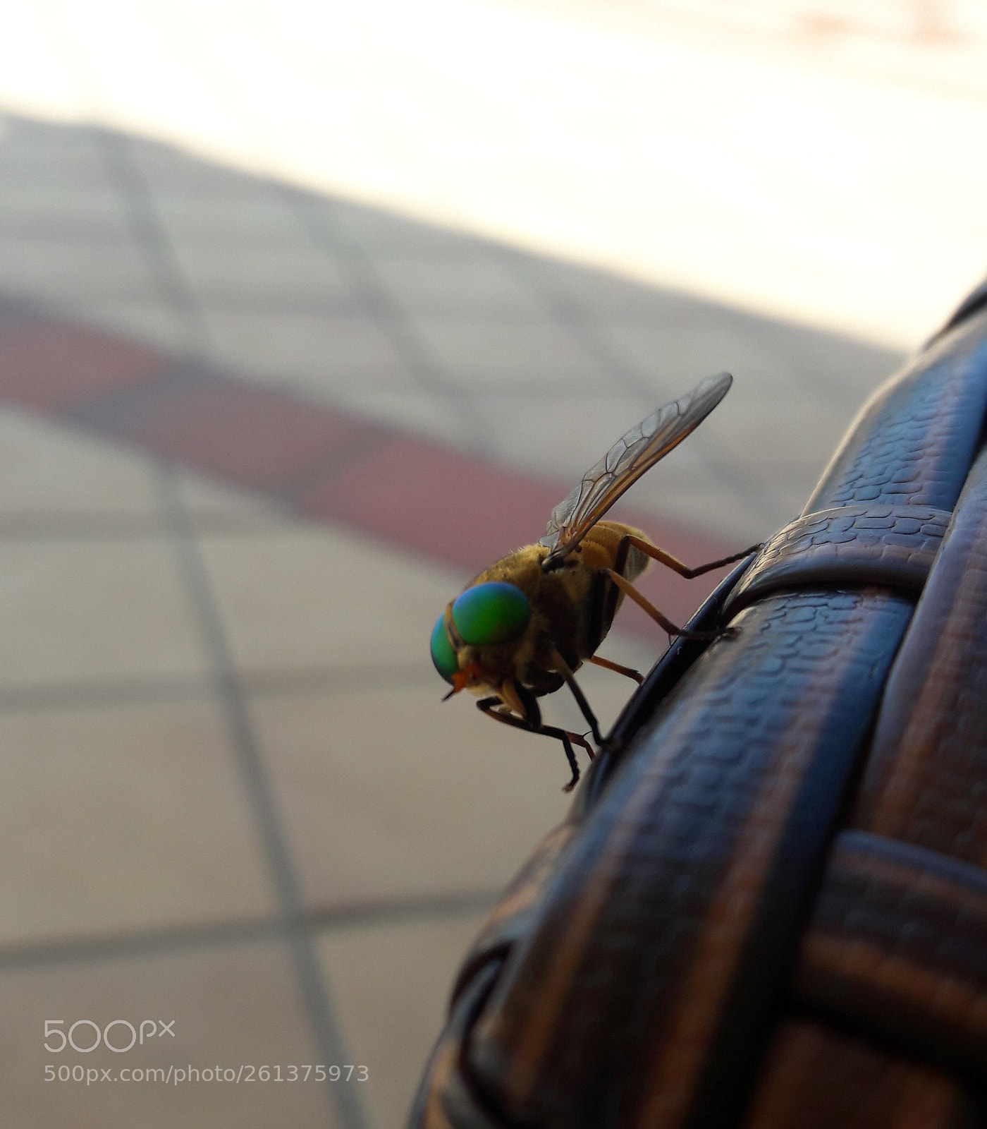 Samsung Galaxy A5(2016) sample photo. Untitled photography