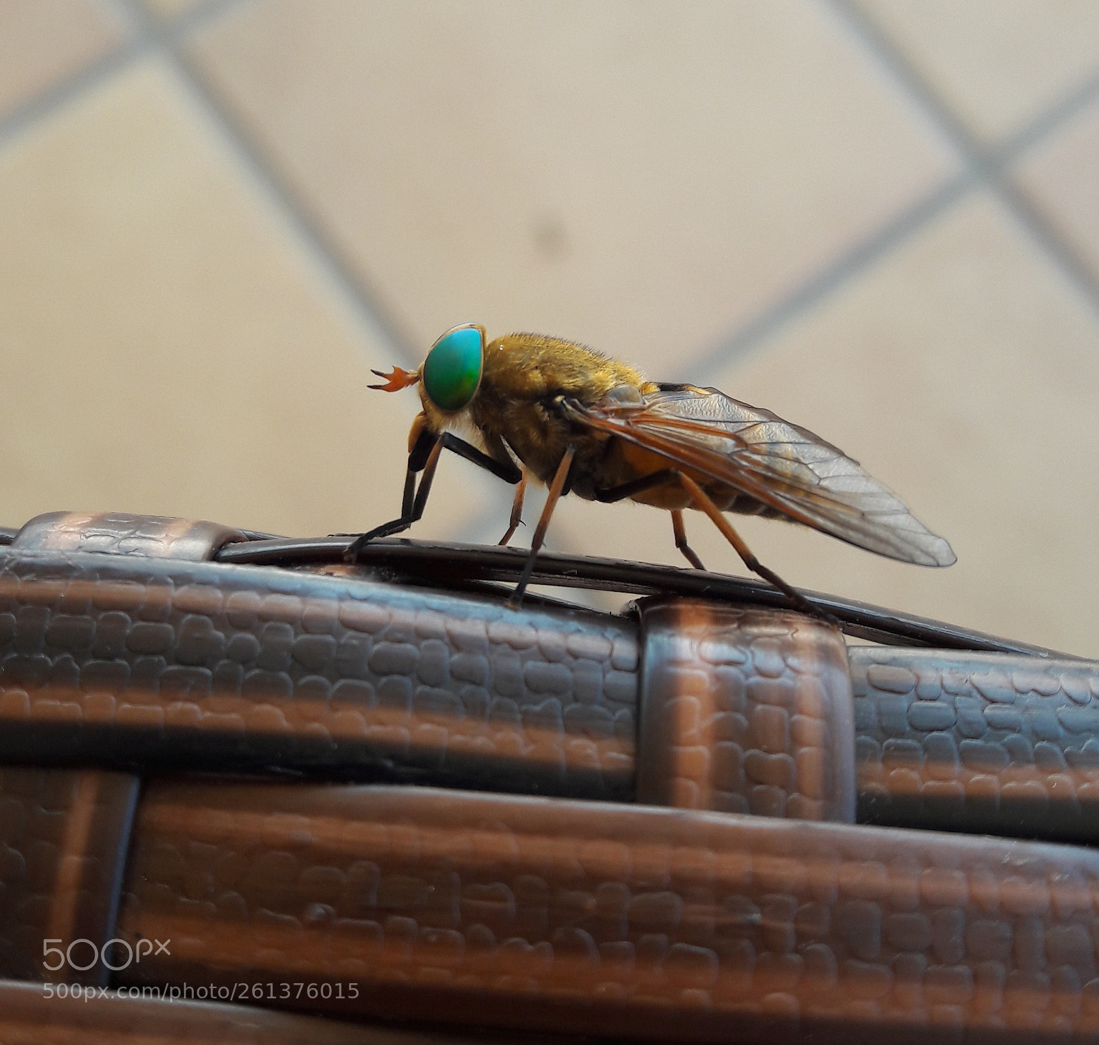 Samsung Galaxy A5(2016) sample photo. Untitled photography