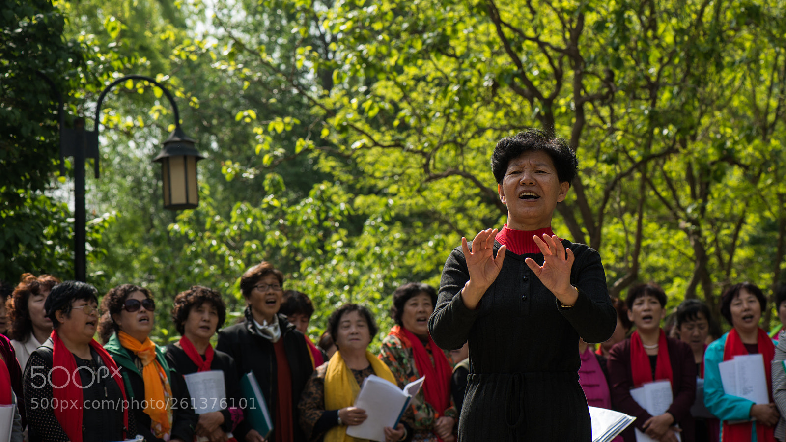 Nikon D800E sample photo. Geriatric choir photography