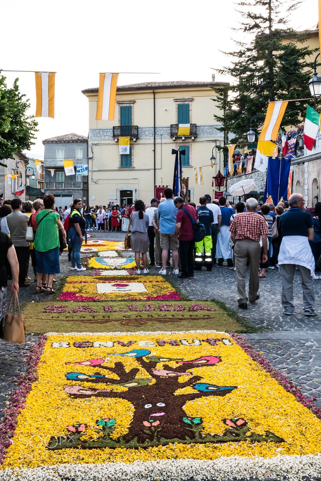 Nikon D800E sample photo. Infiorata a carunchio (ch) photography