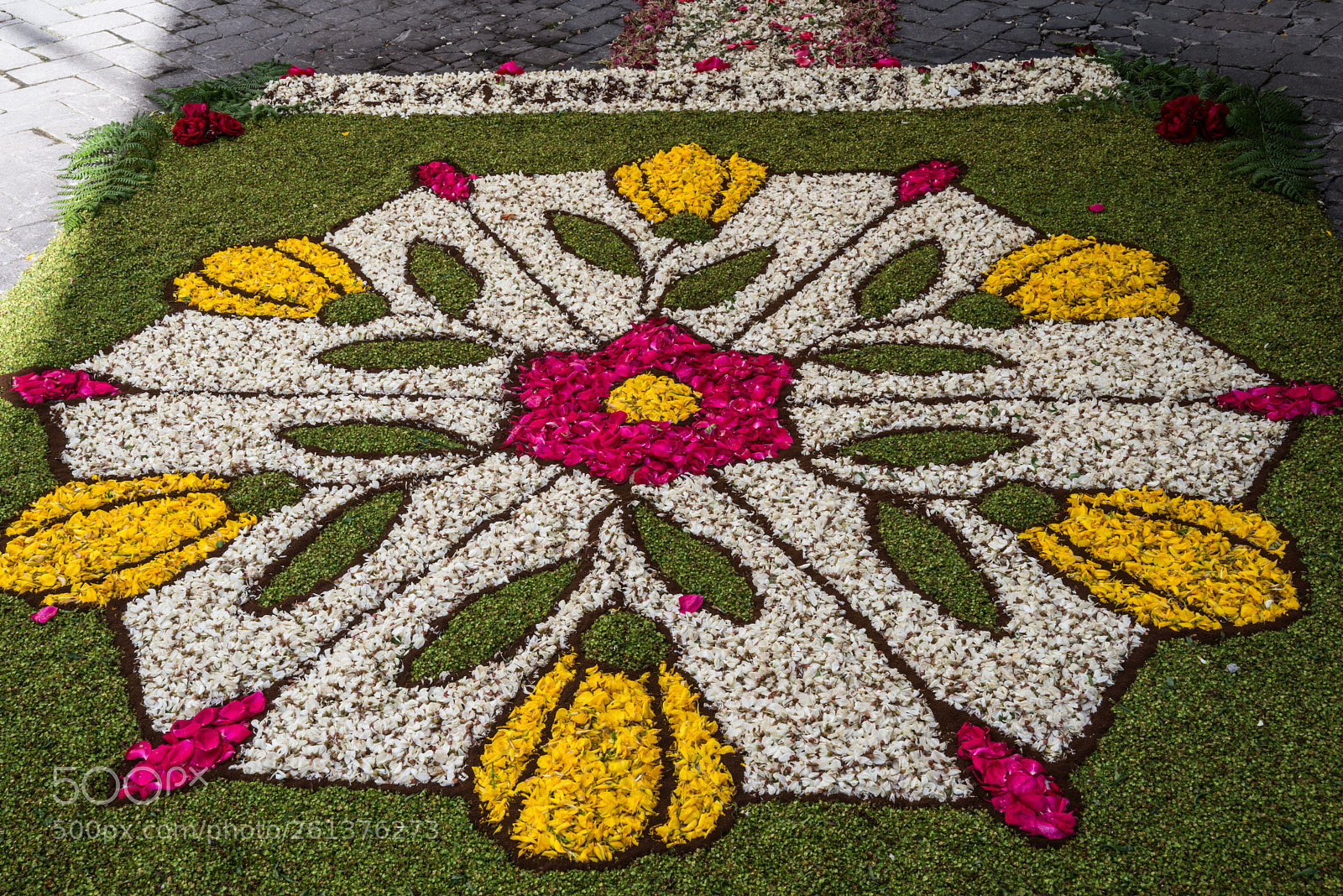 Nikon D800E sample photo. Infiorata a carunchio (ch) photography