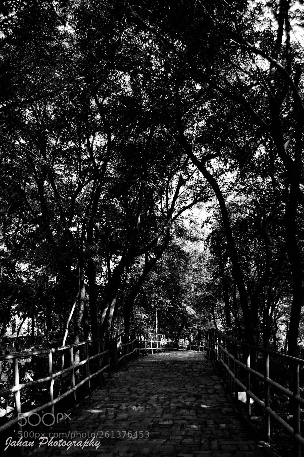 Nikon D3200 sample photo. Into the unknown photography