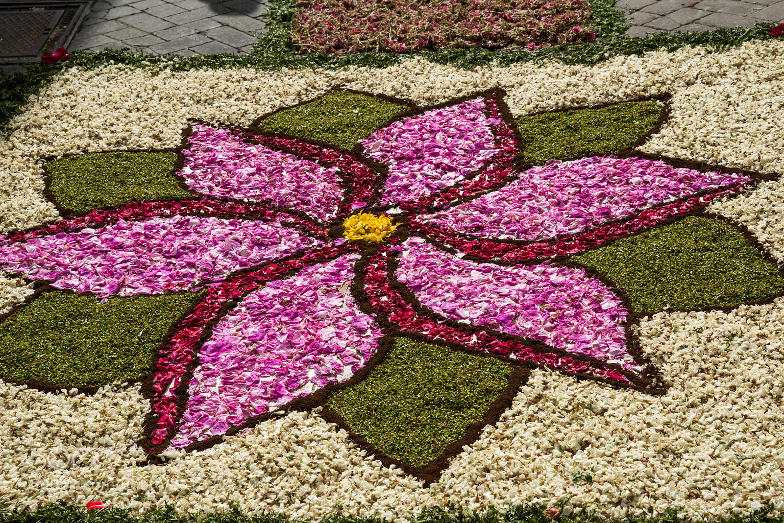 Nikon D800E sample photo. Infiorata a carunchio (ch) photography