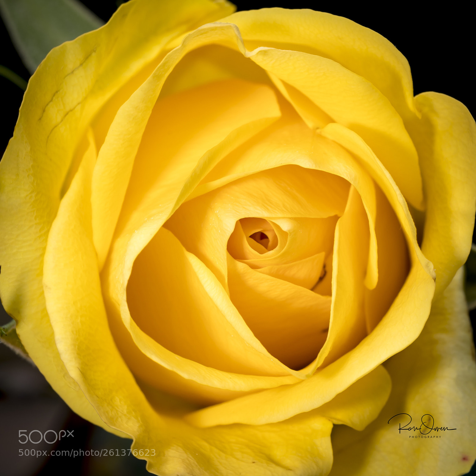 Canon EOS 5D Mark IV sample photo. Beauty photography