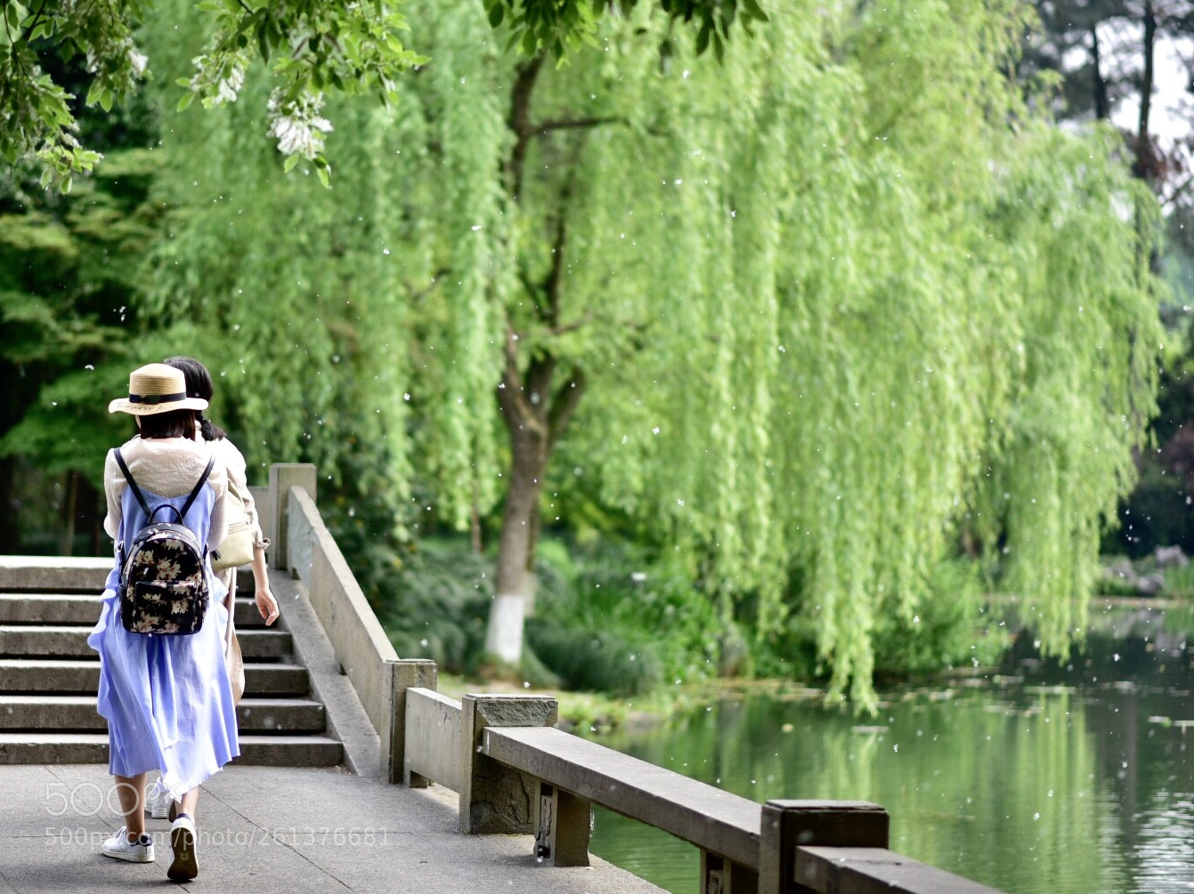Nikon D750 sample photo. Spring of westlake park photography