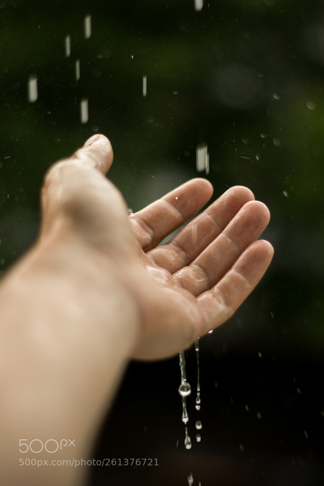 Canon EOS 550D (EOS Rebel T2i / EOS Kiss X4) sample photo. A touch of rain photography